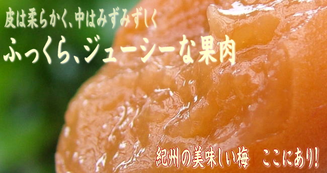 味梅